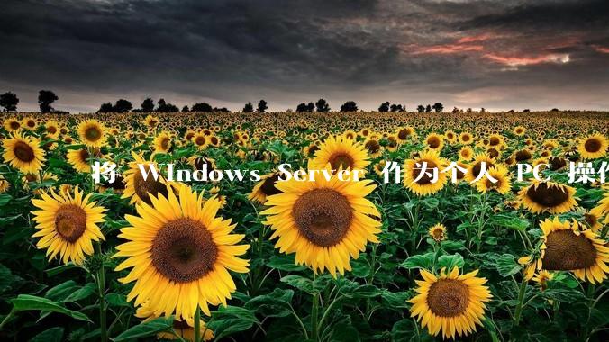 将 Windows Server 作为个人 PC 操作系统来用是怎样的体验？